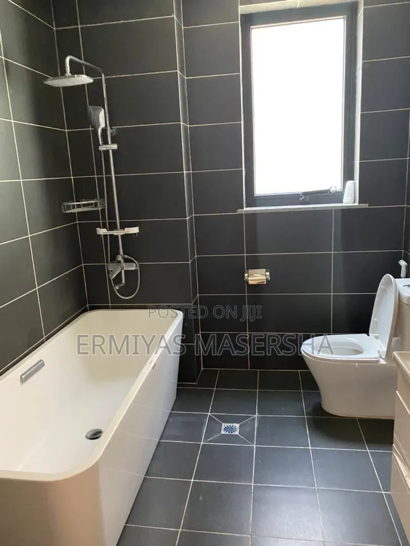 Furnished 3bdrm Apartment in Bole for sale