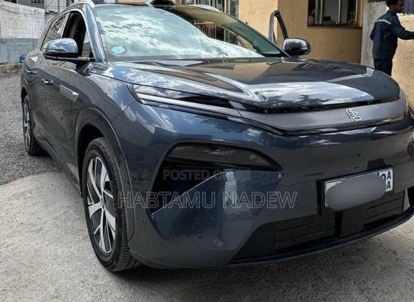 BYD Song L DM-i 2025 Silver