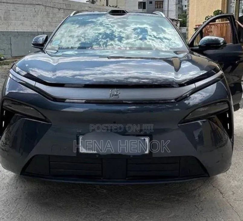 BYD Tang DM-i 2025 Gray