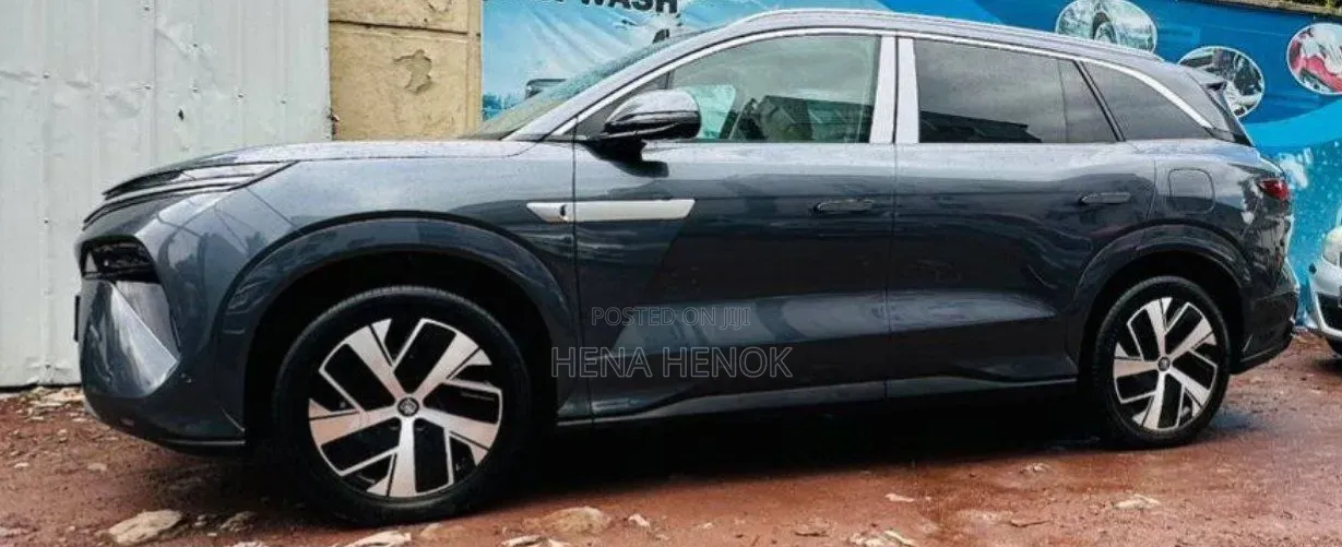 BYD Tang DM-i 2025 Gray