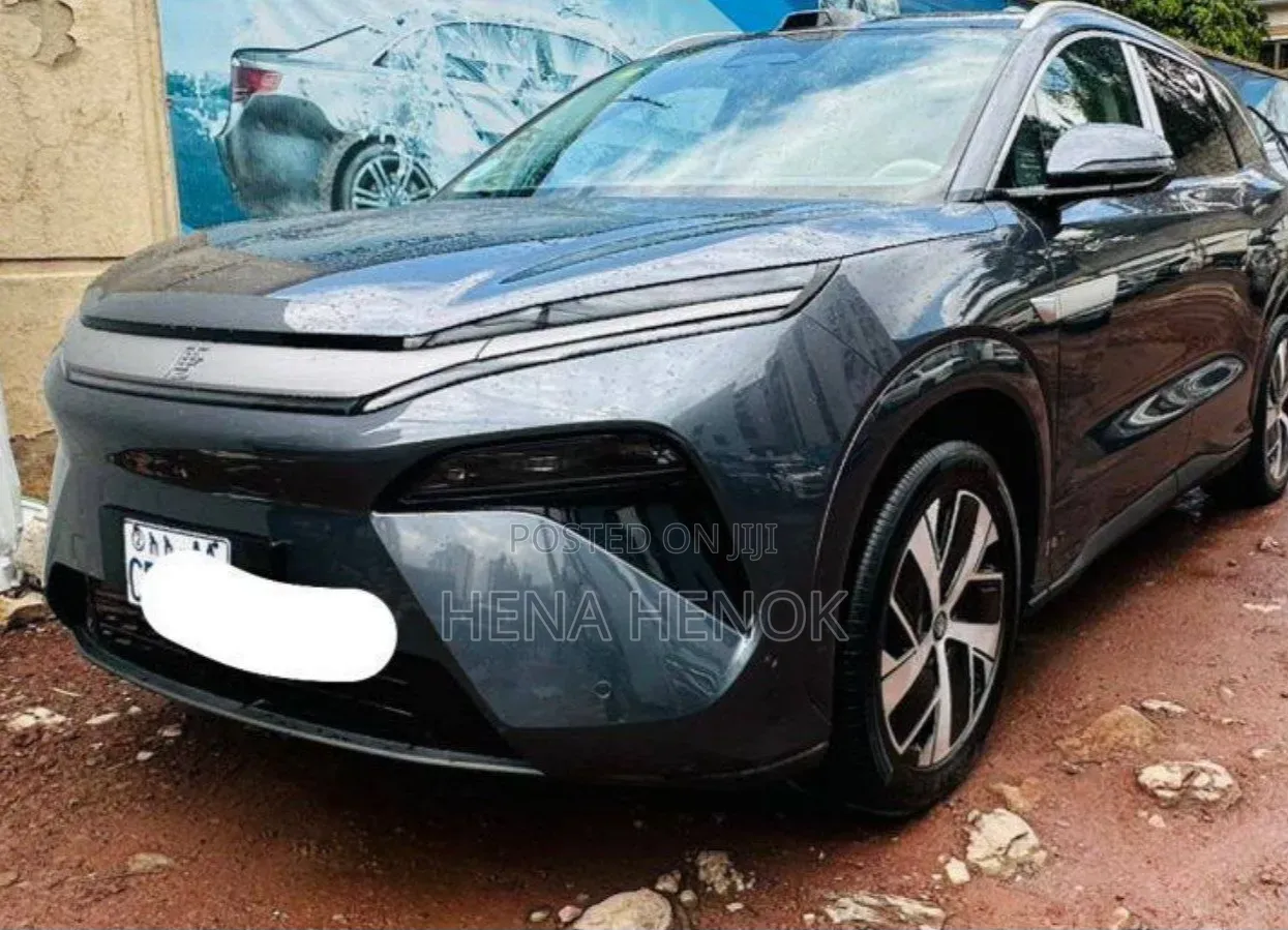 BYD Tang DM-i 2025 Gray