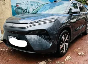BYD Tang DM-i 2025 Gray