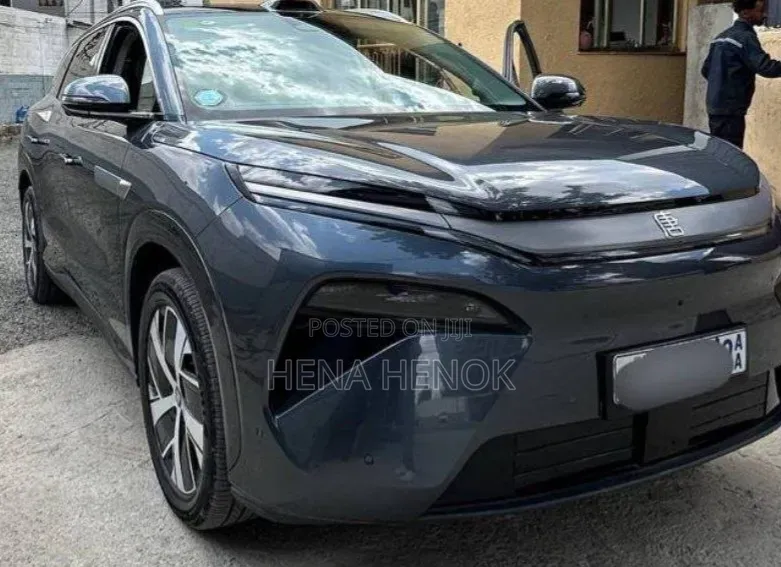 BYD Tang DM-i 2025 Gray