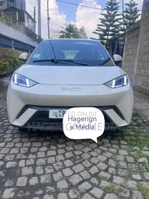 BYD Seagull 2025 White