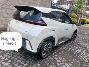 BYD Seagull 2025 White