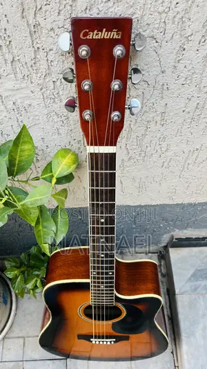 Eletric Box Guitar