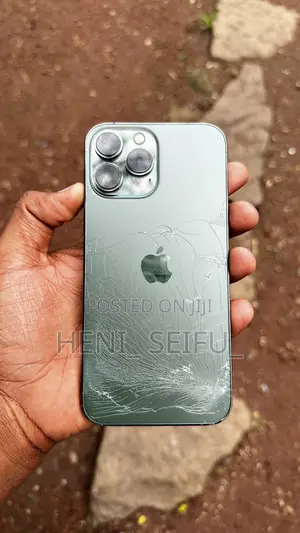Apple iPhone 13 Pro Max 512 GB Green