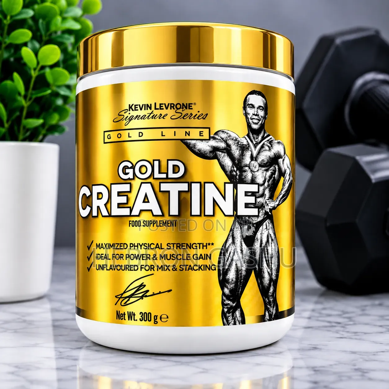 Kevin Levrone Gold Creatine 300g – ኦሪጅናል የጂም ማሟያ