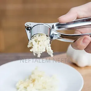 Stainless Steel Garlic Press