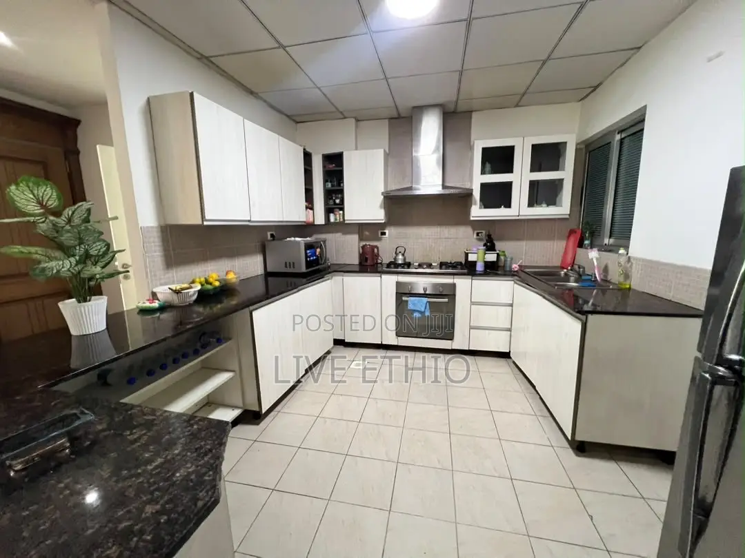 Furnished 3bdrm Apartment in Bole for rent