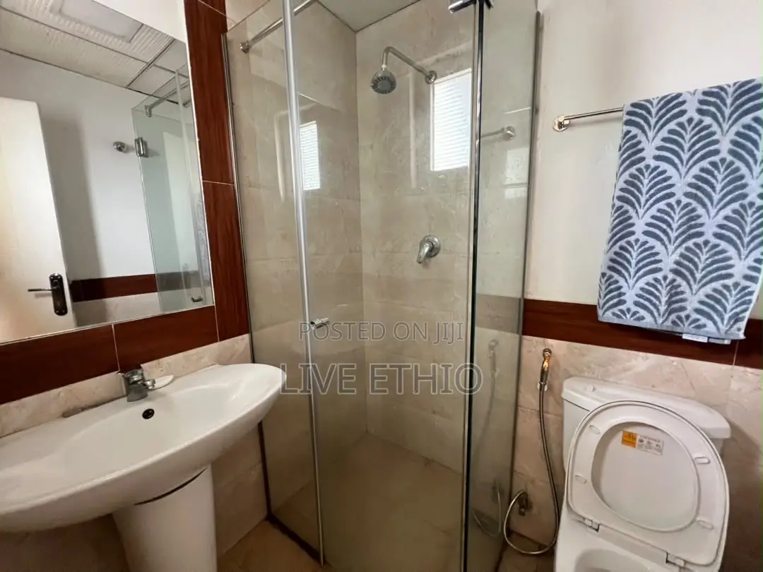 Furnished 3bdrm Apartment in Bole for rent