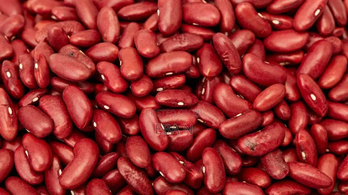 Red Kidney Pea Bean