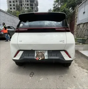 BYD Seagull 2024 Beige