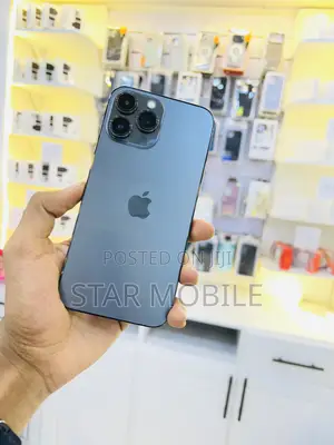 Apple iPhone 13 Pro Max 128 GB Gray
