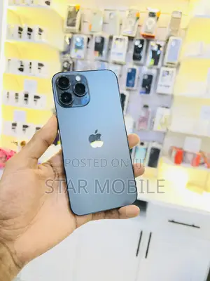 Apple iPhone 13 Pro Max 128 GB Gray