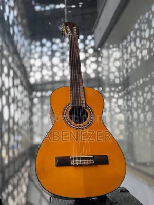 Guitar Nilon
