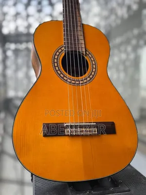 Guitar Nilon