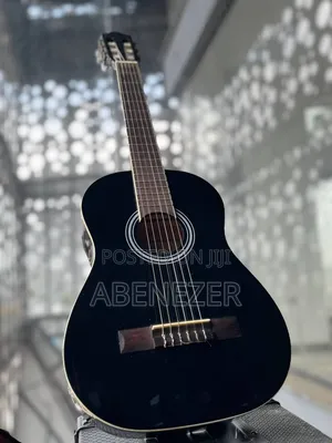 Guitar Nilon