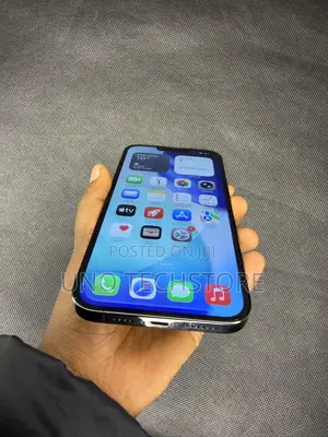 Apple iPhone 13 Pro Max 256 GB Gray