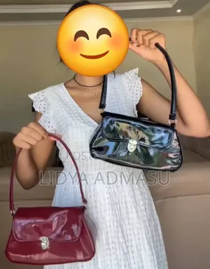 Ladies Handbag