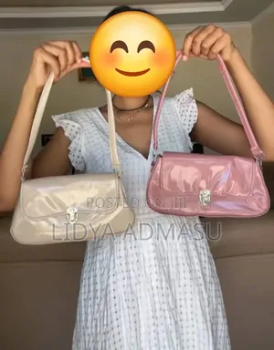 Ladies Handbag