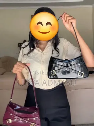 Ladies Handbag