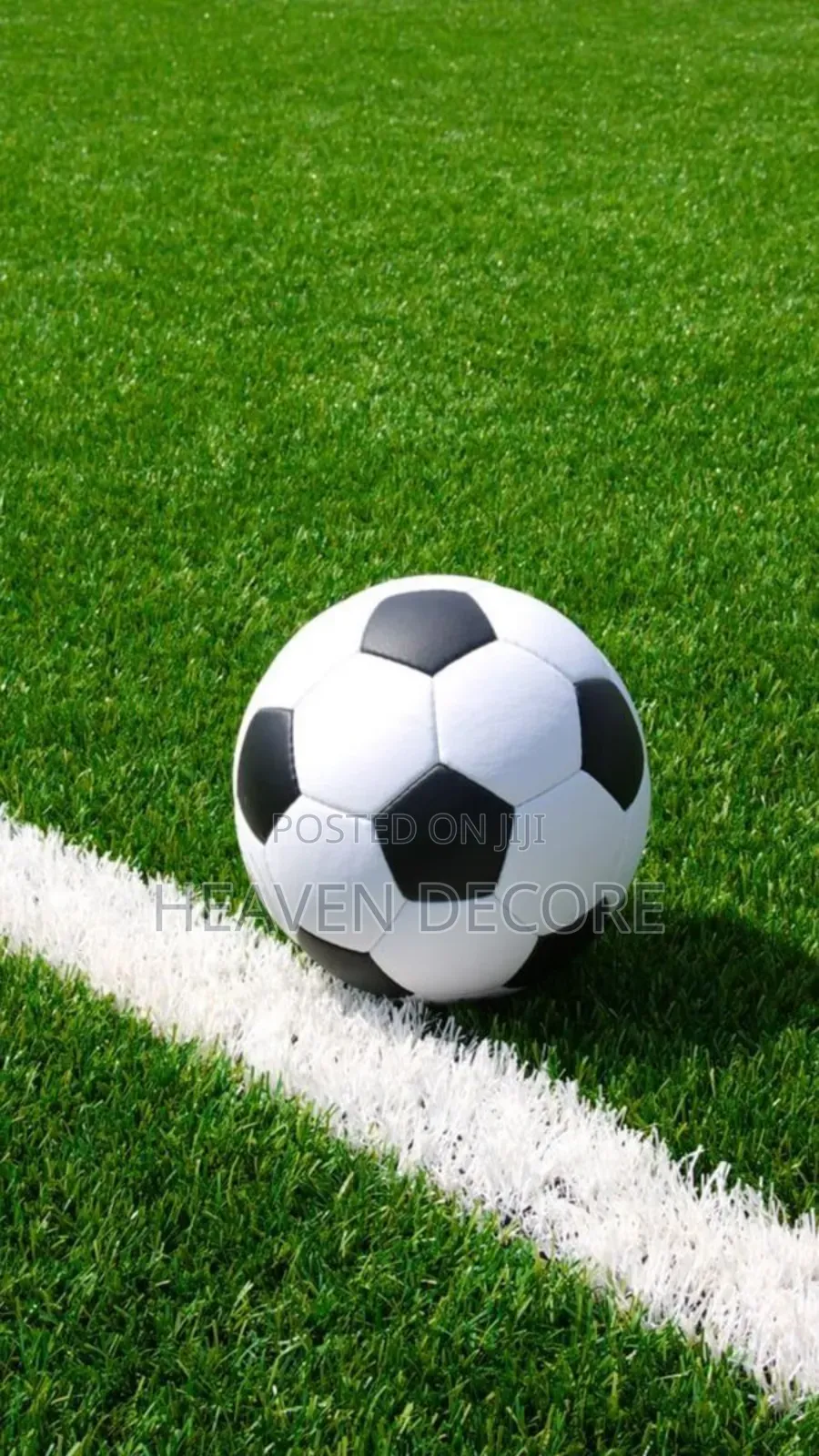 1ኛ ደረጃ የ ዃስሜዳ ሳር