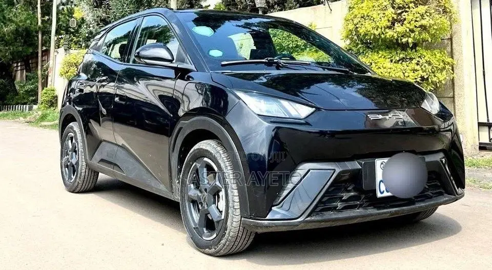 New BYD Seagull 2024 Black