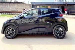 New BYD Seagull 2024 Black