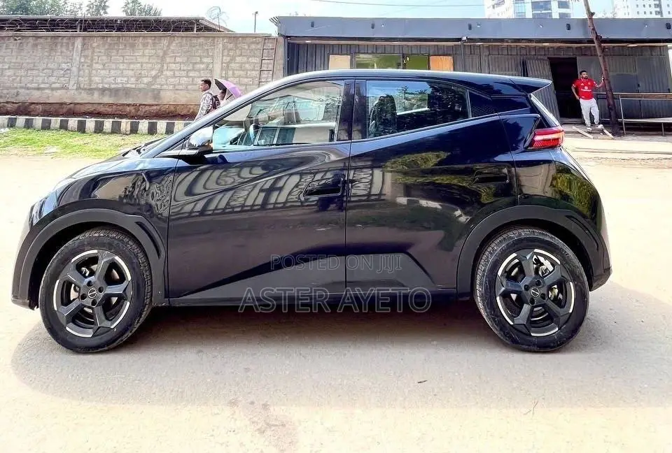 New BYD Seagull 2024 Black