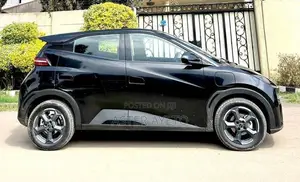 New BYD Seagull 2024 Black