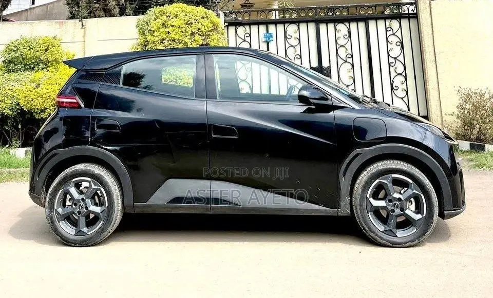New BYD Seagull 2024 Black