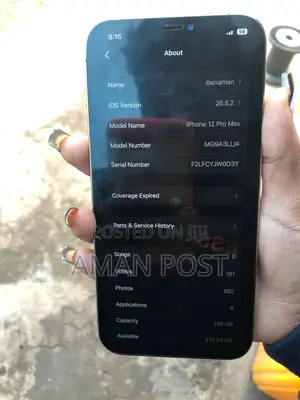 Apple iPhone 12 Pro Max 256 GB Rose Gold