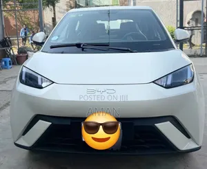 BYD Seagull 2024 White