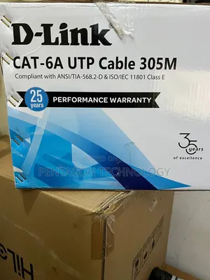 D-Link Cat6A Network Cable