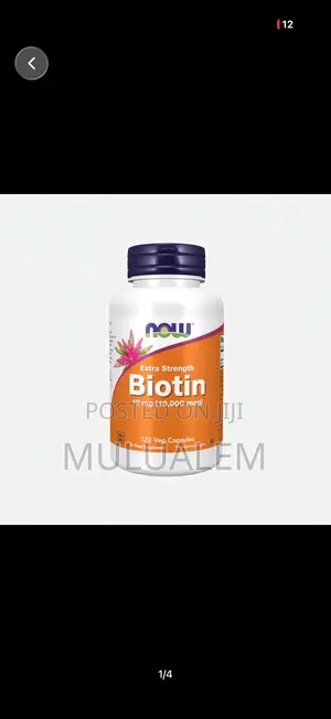 Supplement