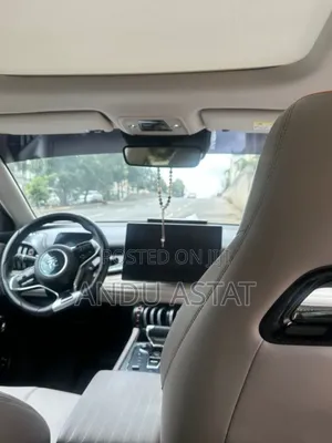 BYD Yuan Plus 2024 Gray