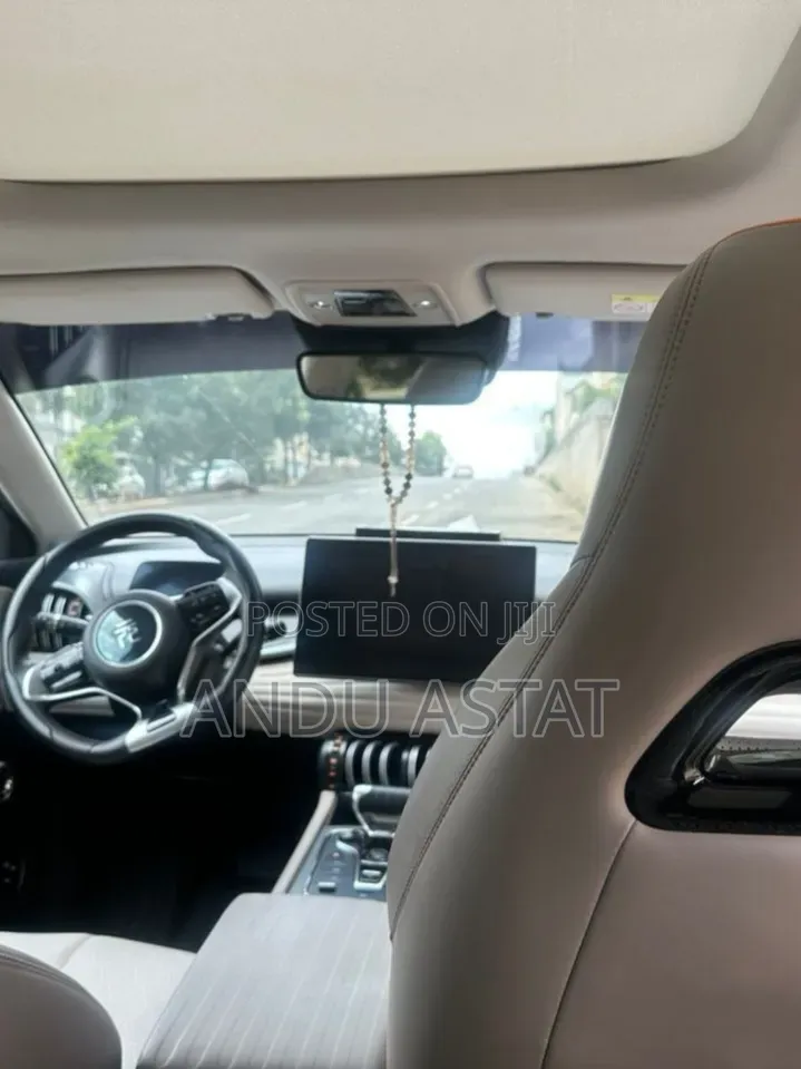 BYD Yuan Plus 2024 Gray