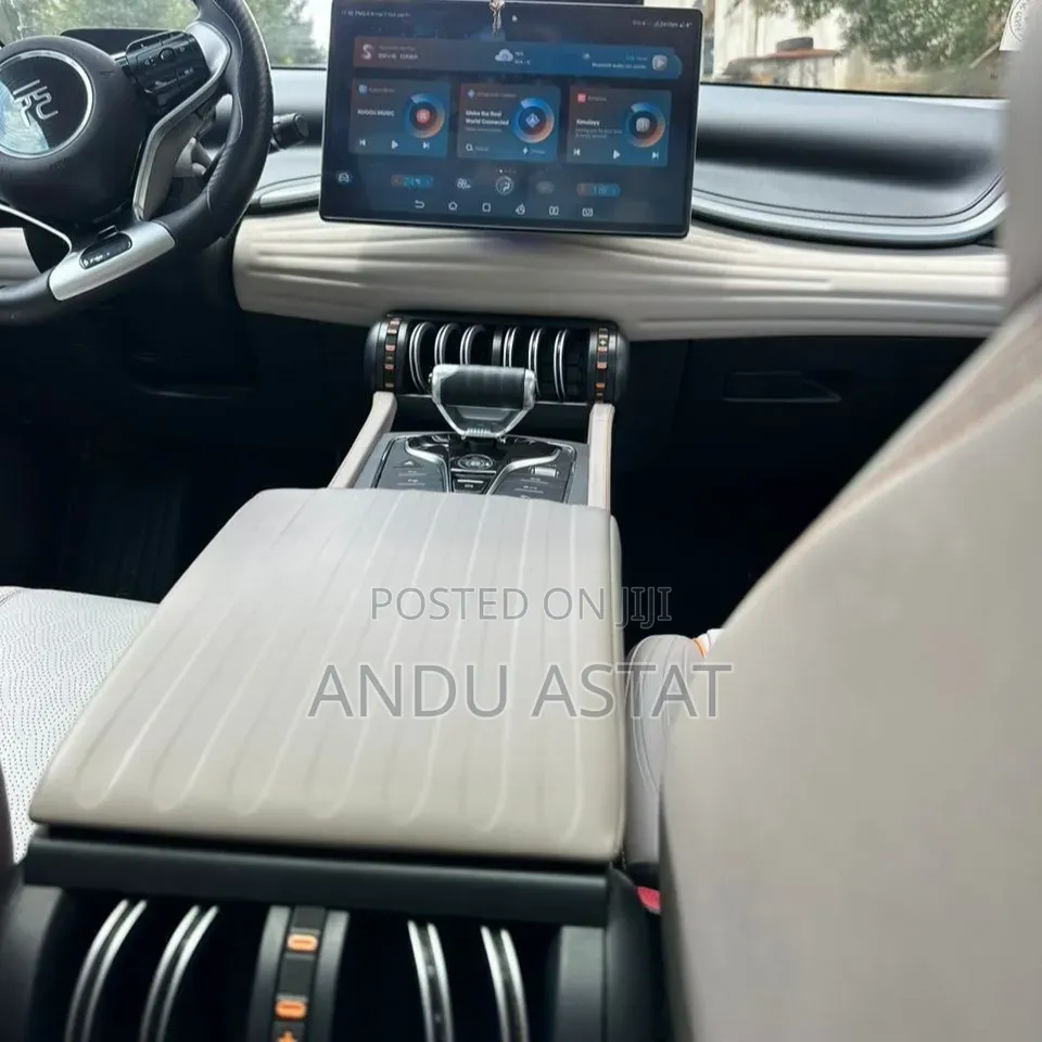 BYD Yuan Plus 2024 Gray