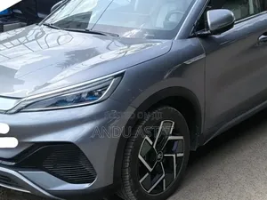 BYD Yuan Plus 2024 Gray