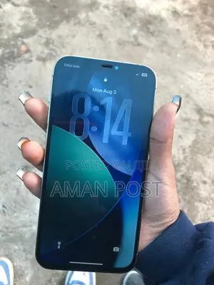 Apple iPhone 12 Pro Max 256 GB Rose Gold