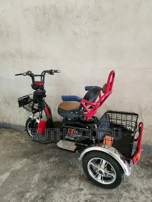 Best Open-Body 48v Electric Tricycle Bike 60v Two-Seater Wheelchair