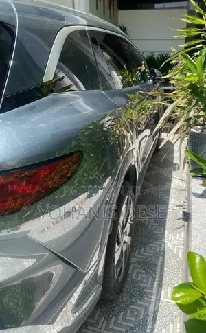 BYD Tang DM-i 2025 Green