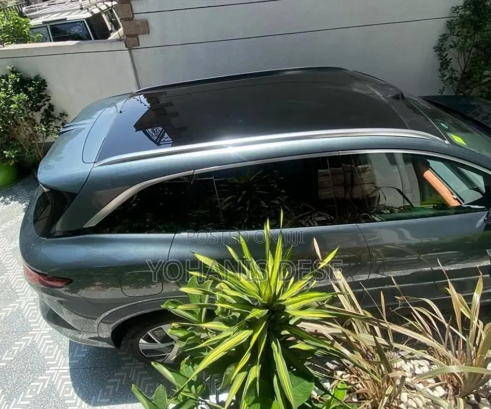 BYD Tang DM-i 2025 Green