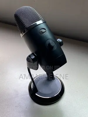 Podcast Mic/ Steamer Mic _Blue Yeti X