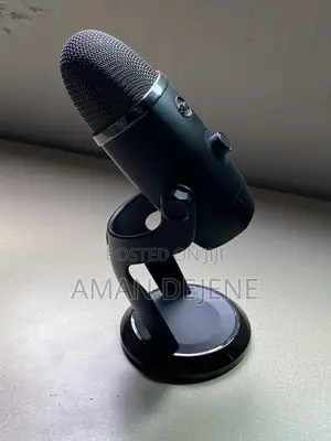 Podcast Mic/ Steamer Mic _Blue Yeti X
