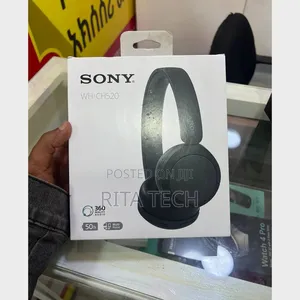 Sony Wh520 Headphone
