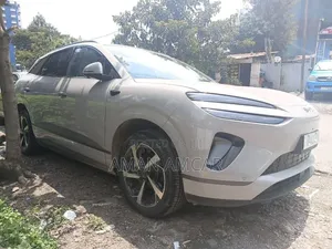 New BYD Sealion 06 EV 2025 Gray