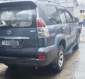 Toyota Land Cruiser 2006 Gray