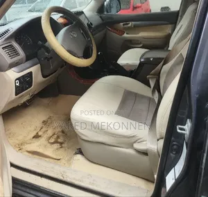 Toyota Land Cruiser 2006 Gray